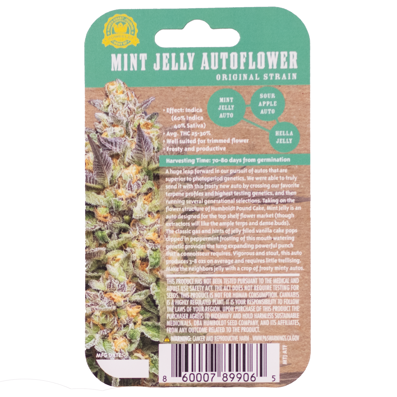 Mint Jelly Auto 5 Feminized Autoflower Seeds - Image 3