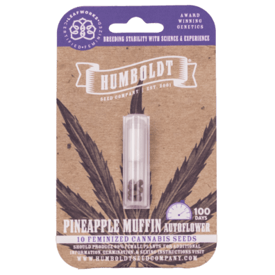 Pineapple Muffin Auto 5 Feminized Autoflowering Seeds