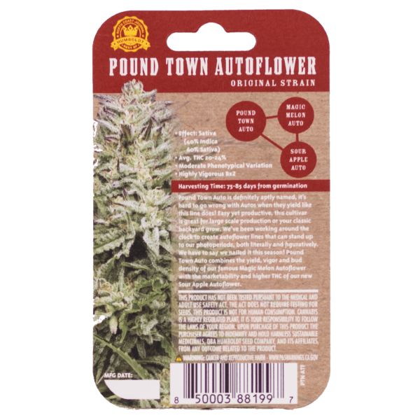 Pound Town Auto 5 Feminized Autoflower Seeds - Image 3