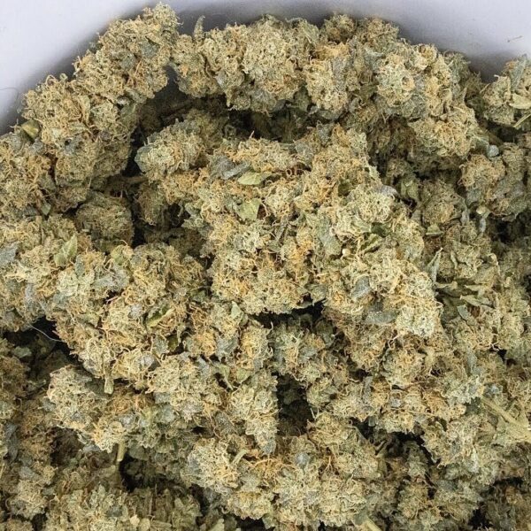 Genetically Modified Alani (G.M.A.) F1 (GMO x Alani Skunk) 6 Feminized Seeds - Image 4