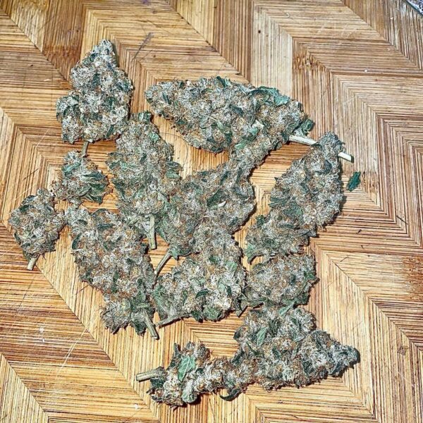 Bio Skunk F1 (Bio Chem x Alani Skunk) 6 Feminized Seeds - Image 5