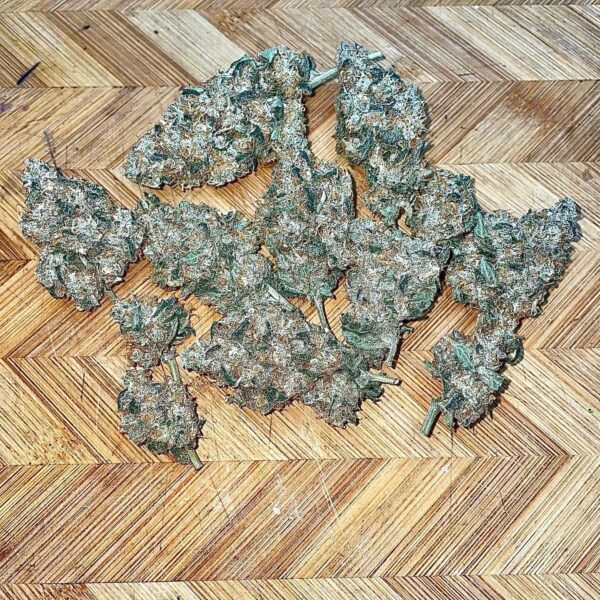 Bio Skunk F1 (Bio Chem x Alani Skunk) 6 Feminized Seeds - Image 6