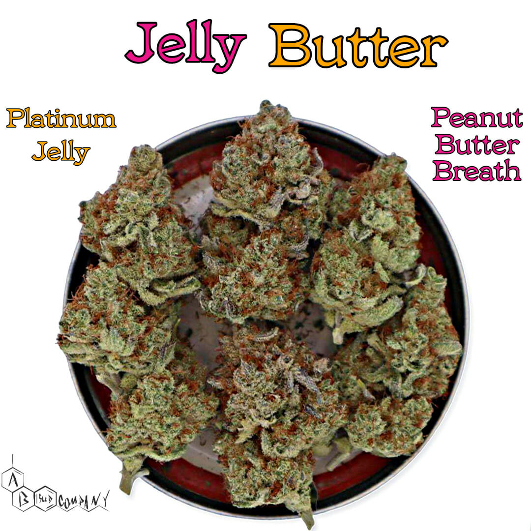 High yielding weed Peanut Butter Breath for outdoor growing