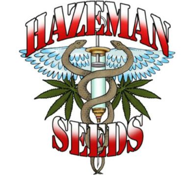 Hazeman Seeds