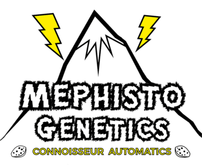 Mephisto Genetics Feminized Autoflower Seeds