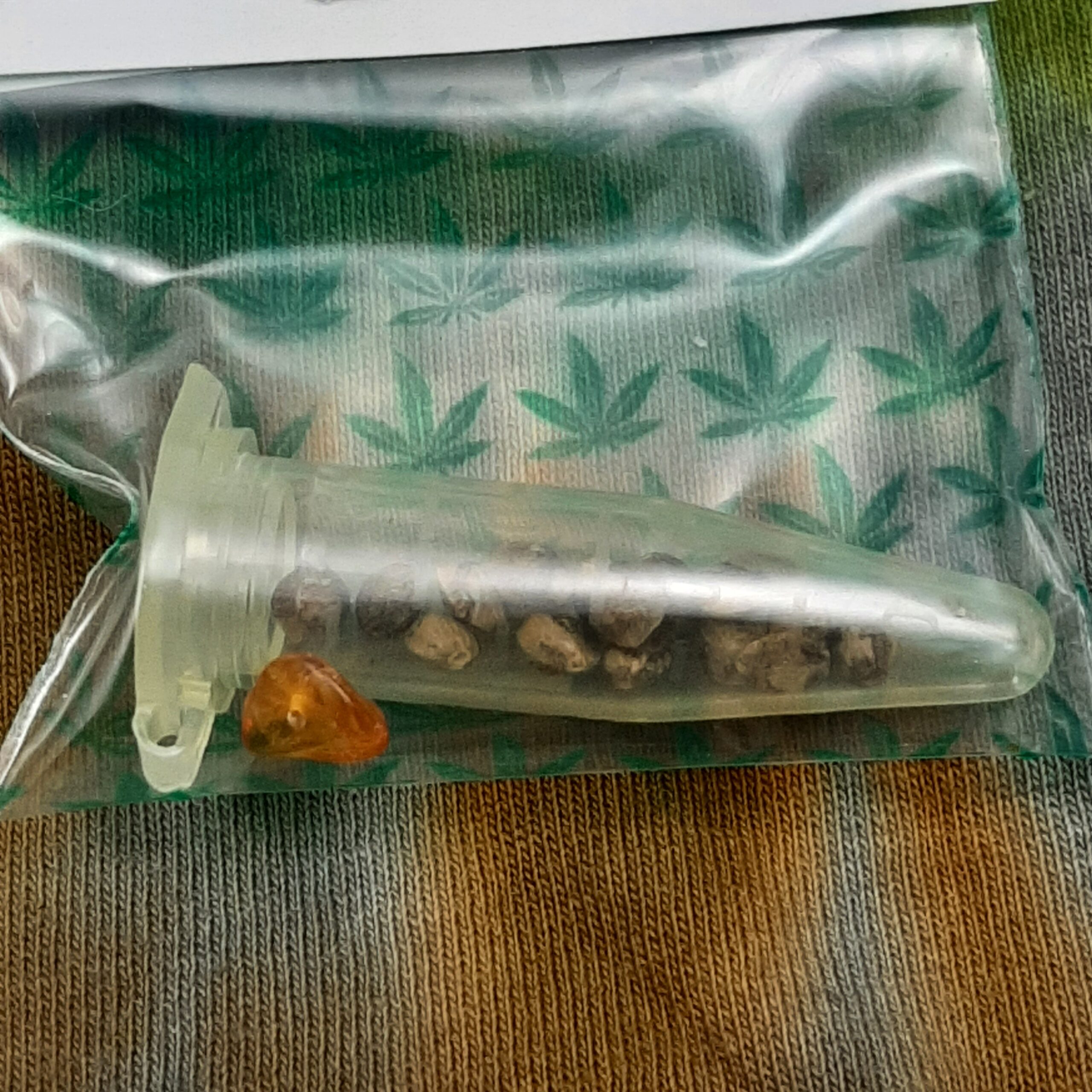 78 Llamas x Goat Yogi F1 15 Regular Seeds - Image 4