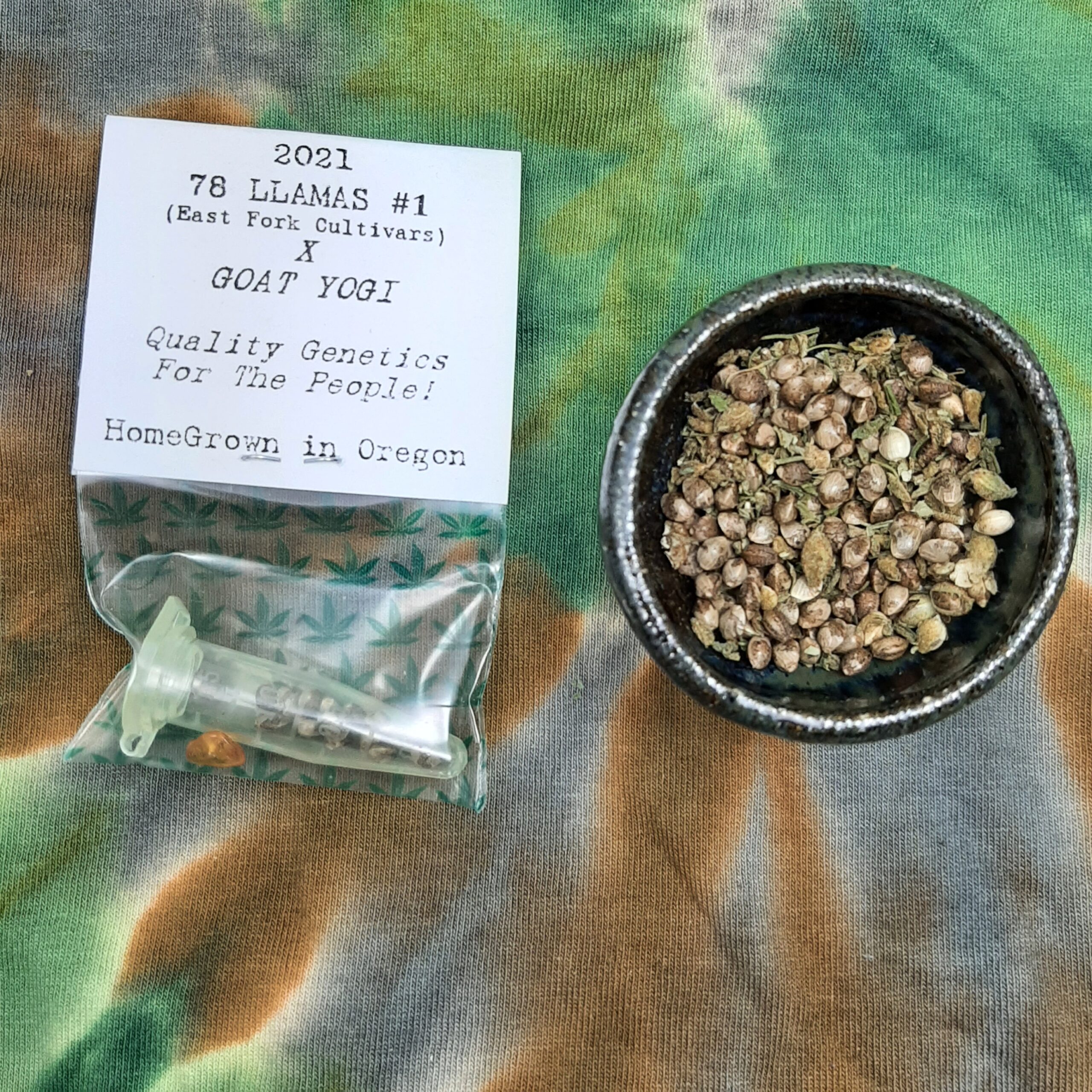 78 Llamas x Goat Yogi F1 15 Regular Seeds