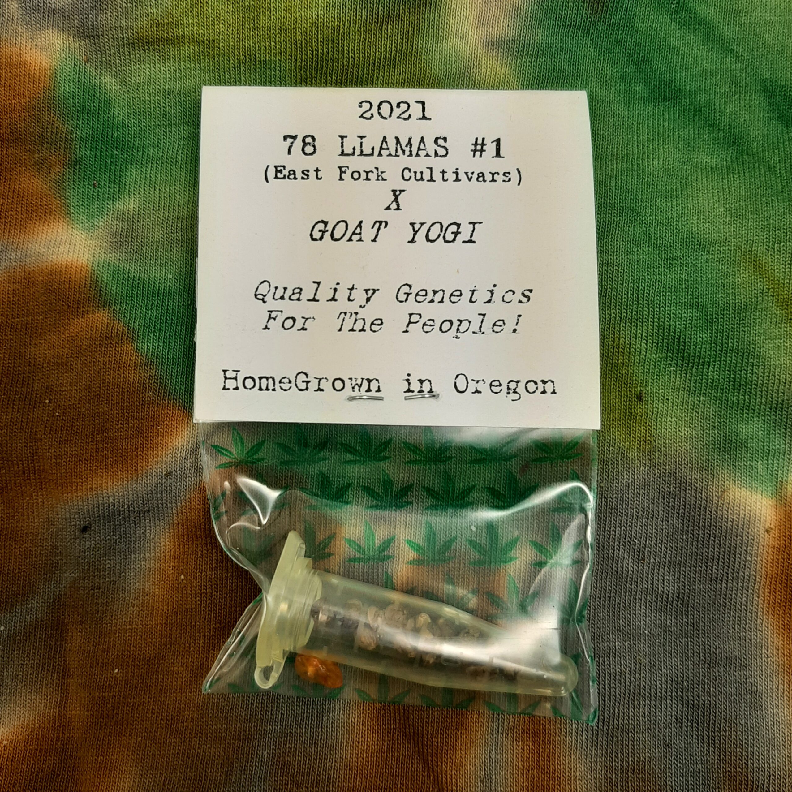 78 Llamas x Goat Yogi F1 15 Regular Seeds - Image 3