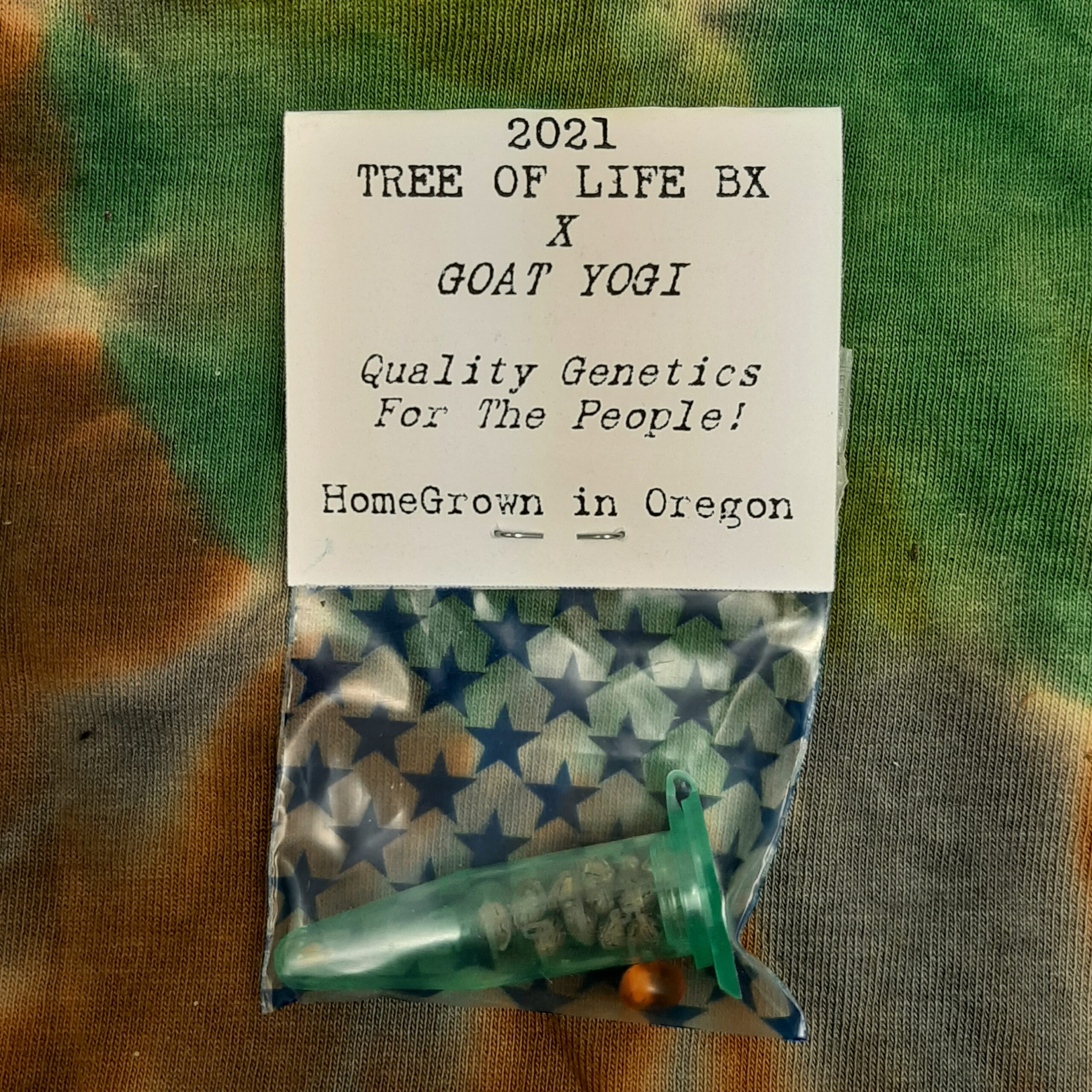 Tree of Life BX x Goat Yogi F1 15 Regular Seeds - Image 5