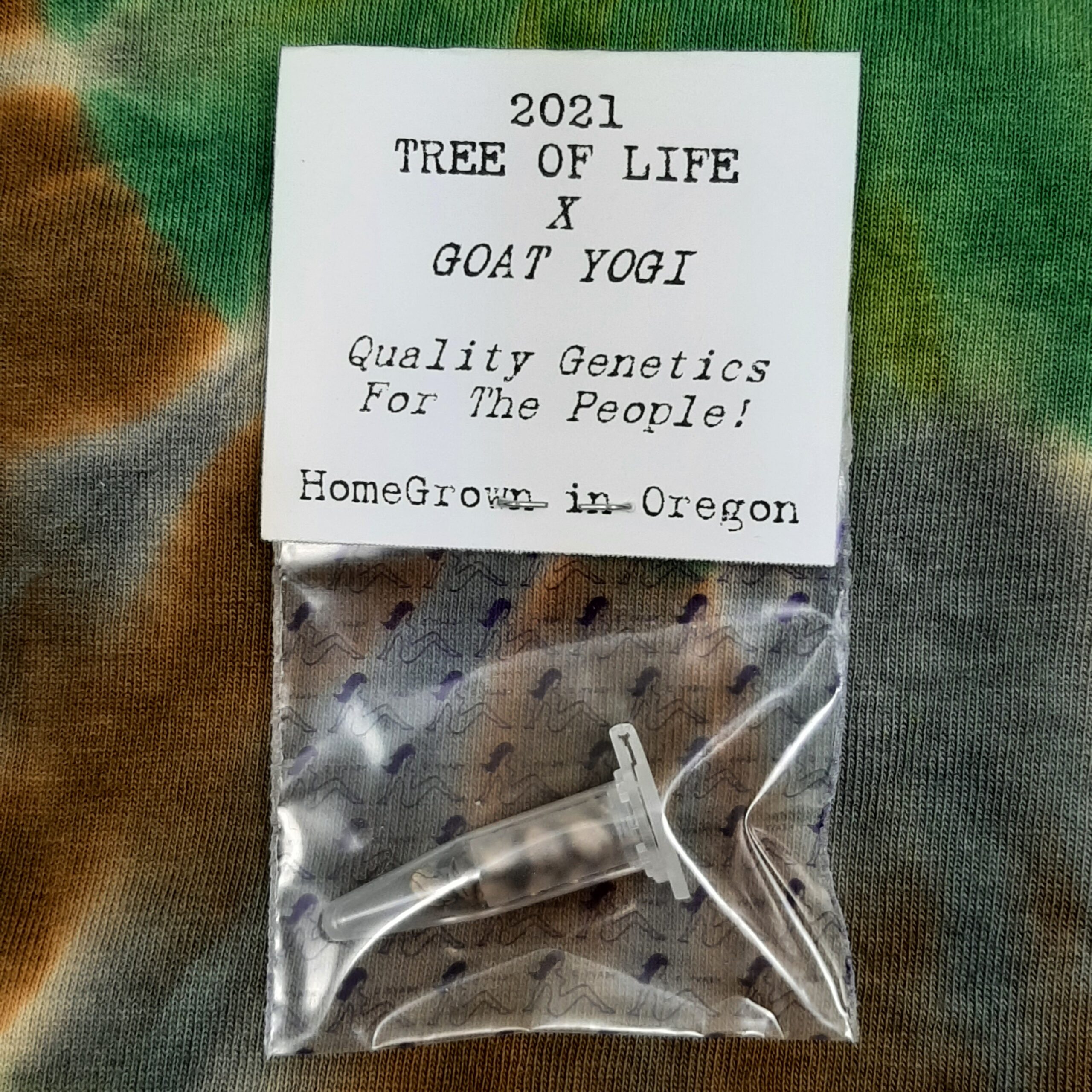 Tree of Life x Goat Yogi F1 15 Regular Seeds