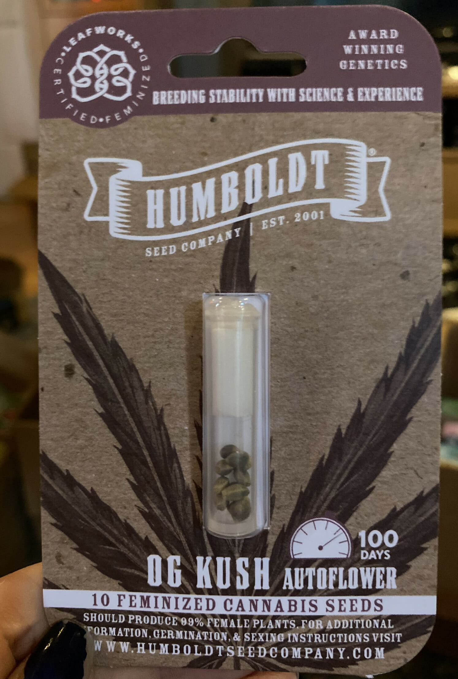 OG Kush F5 Auto 5 Feminized Autoflower Seeds