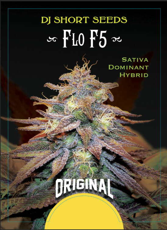 The Original Flo F5 6 Regular Seeds