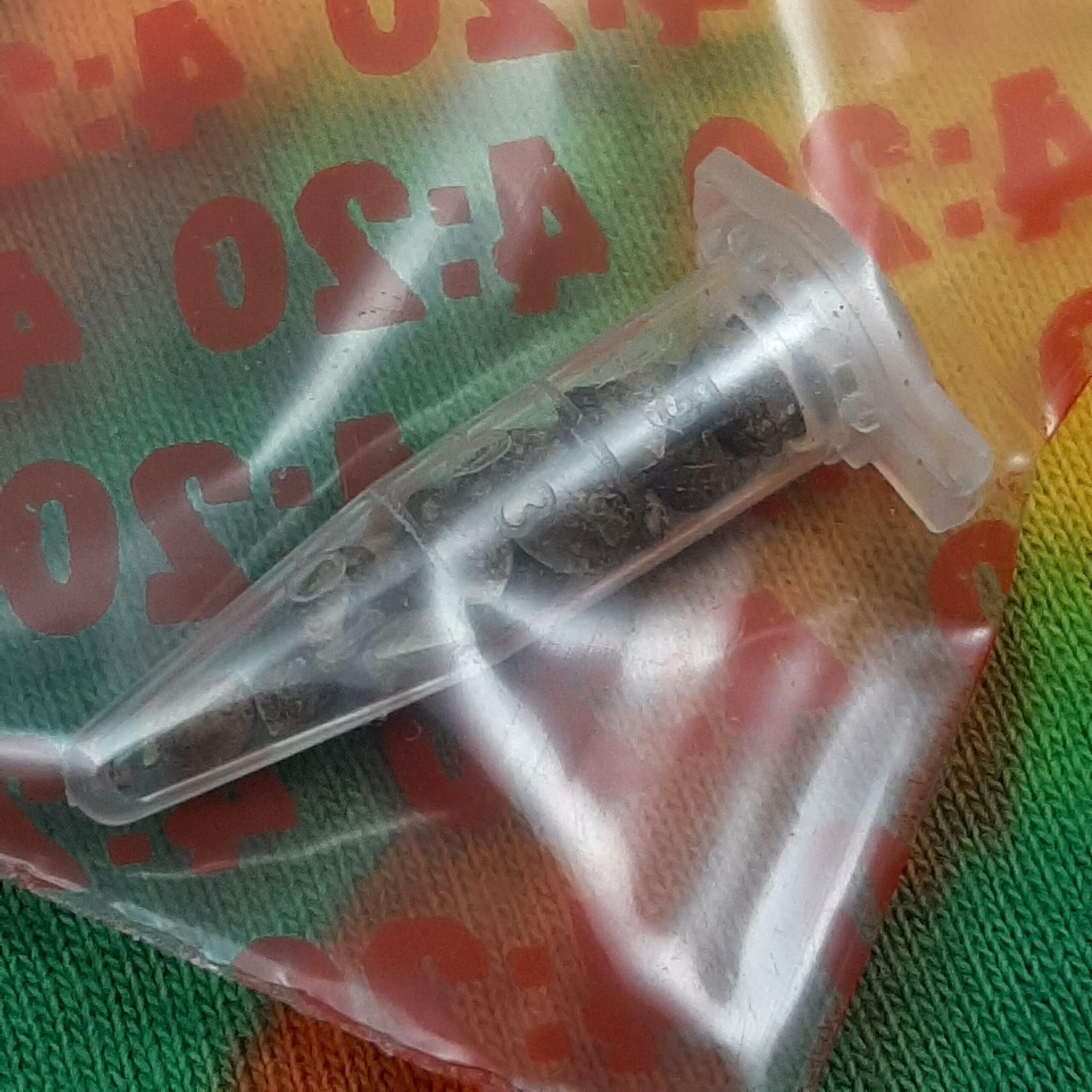 Pre-98 Bubba X Goat Supreme F1 15 Regular Seeds - Image 2