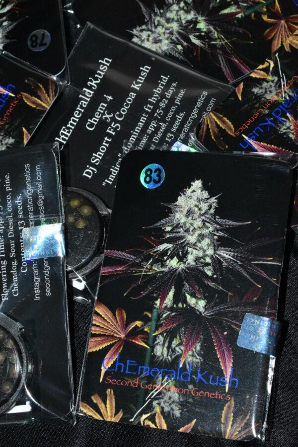 ChEmerald Kush F1 (Chem 4 x Cocoa Kush) 13 Regular Seeds - Image 7