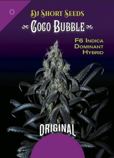 Coco Bubble F6 10 Regular Seeds