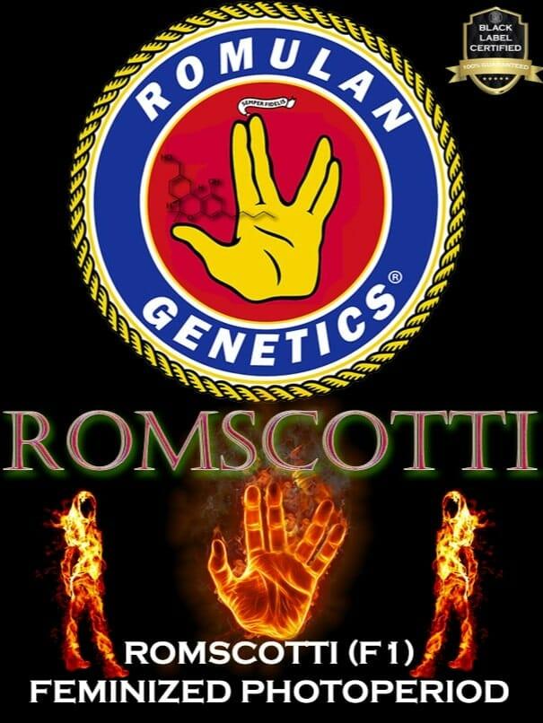 Romscotti F1 (Romulan x Biscotti) 6 Feminized Seeds - Image 8