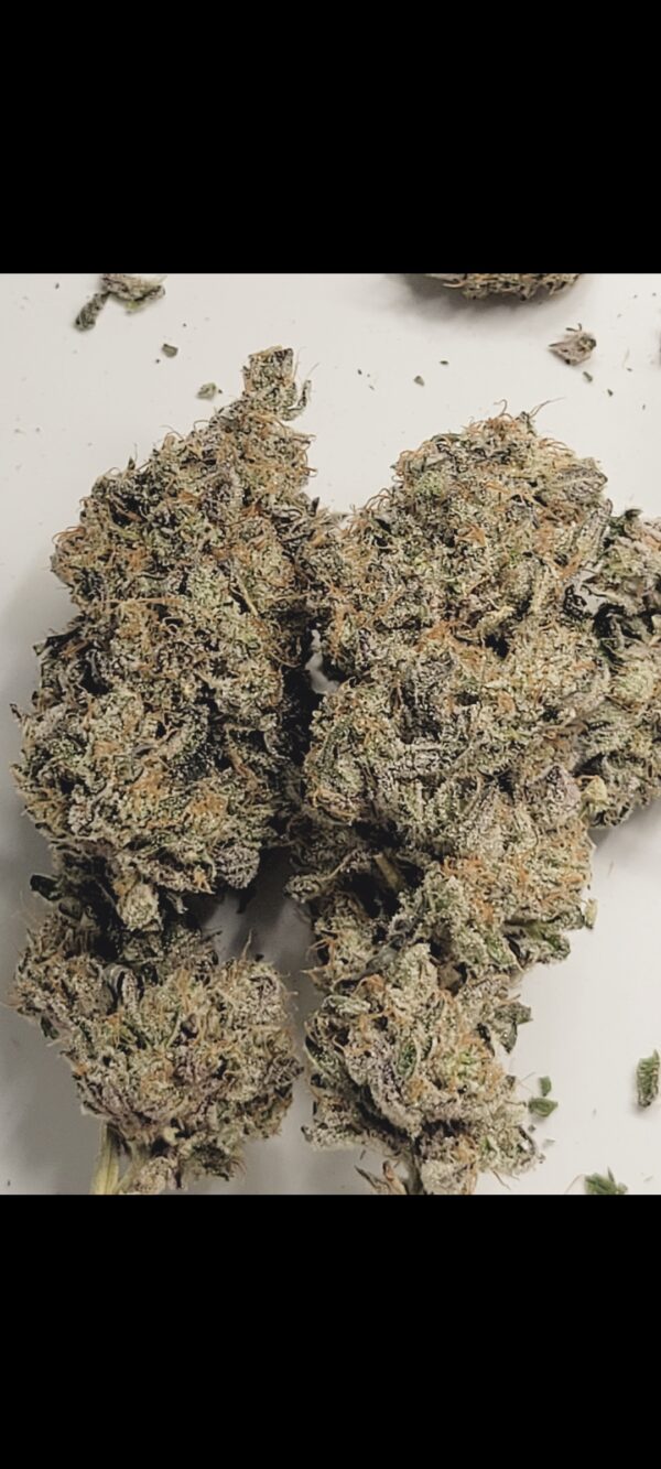 Assed Out F1 (Chemdog D x Ice Cream Cake) 6 Feminized Seeds - Image 4