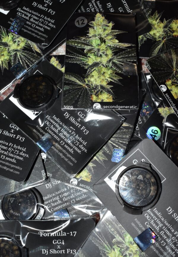 Formula-17 F1 (GG4 x F13) 13 Regular Seeds - Image 2