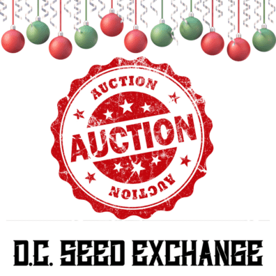 Auctions