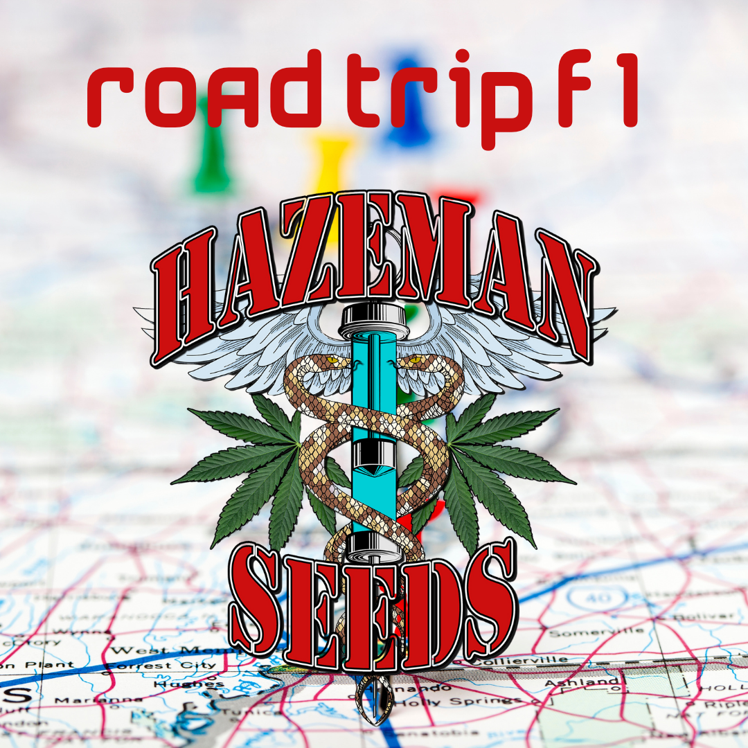 Road Trip F1 12 Regular Seeds