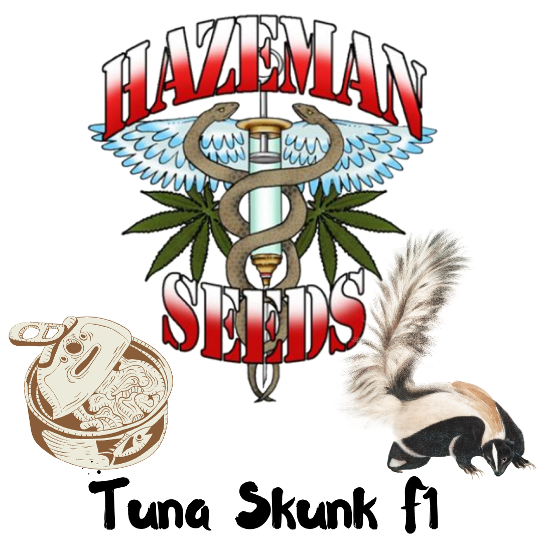 Tuna Skunk F1 (Tuna Kush x Roadkill Skunk) 12 Regular Seeds