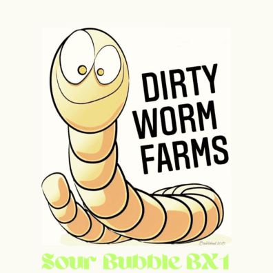 Sour Bubble BX1 15 Regular Seeds