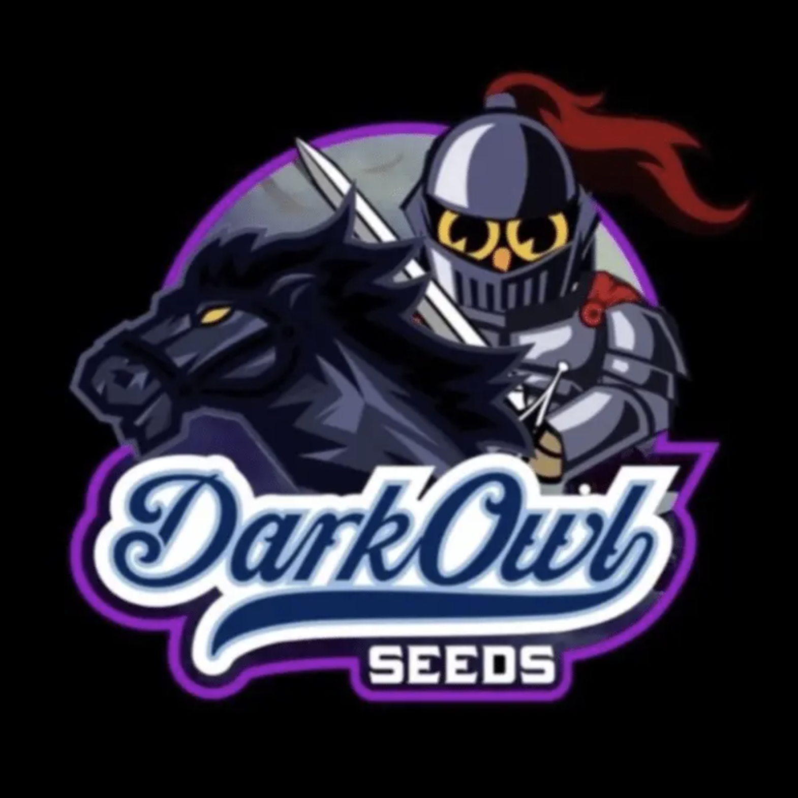 Midnight Marathon F4 Auto 3 Feminized Autoflower Seeds