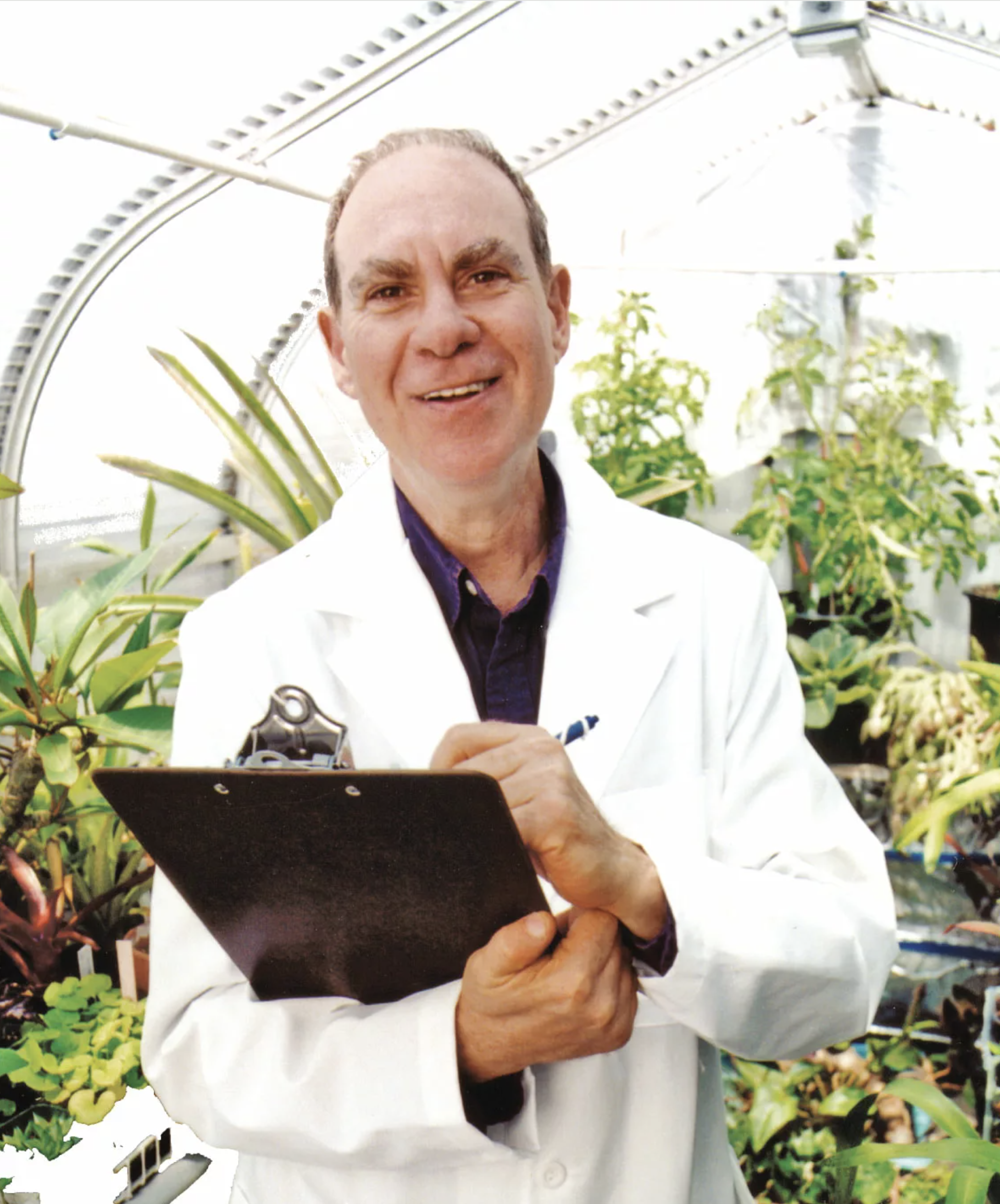 Ed Rosenthal’s Super High Life F1 10 Feminized Seeds - Image 4