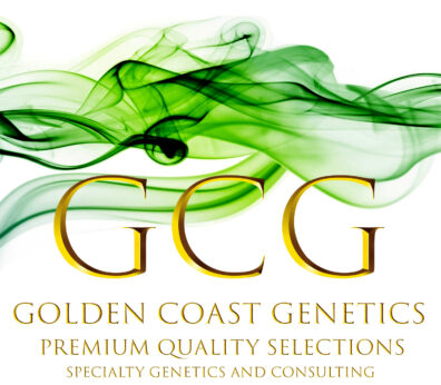 Golden Coast Genetics