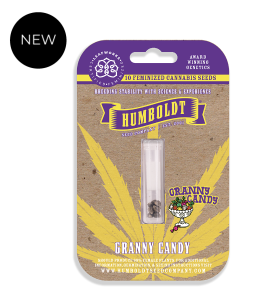 Granny Candy F1 10 Feminized Seeds