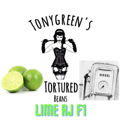 Lime AJ F1 10 Regular Seeds