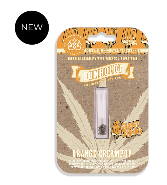 Orange Creampop F1 10 Feminized Seeds