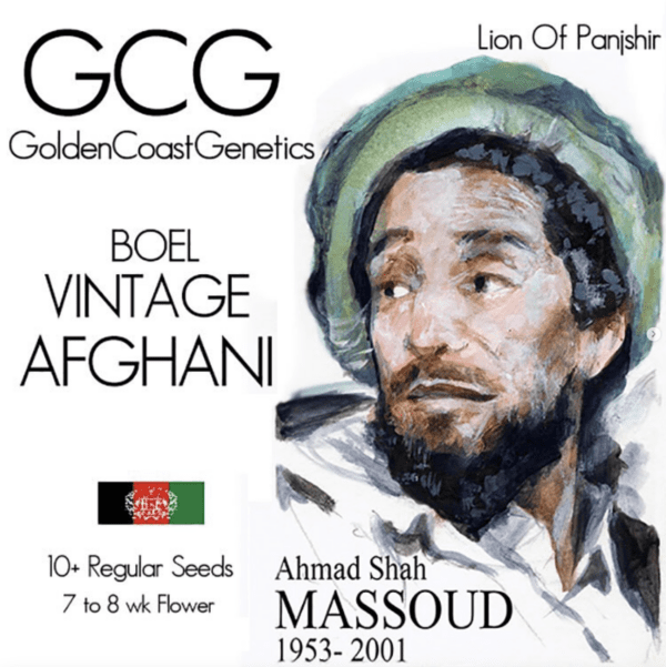 BOEL Vintage Afghani 10 Regular Seeds