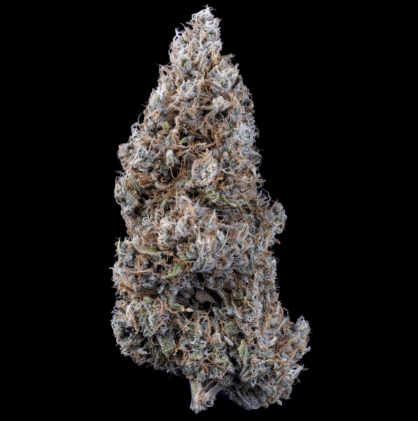 Hubbabubbasmelloscope F6 Auto 3 Feminized Autoflower Seeds - Image 5