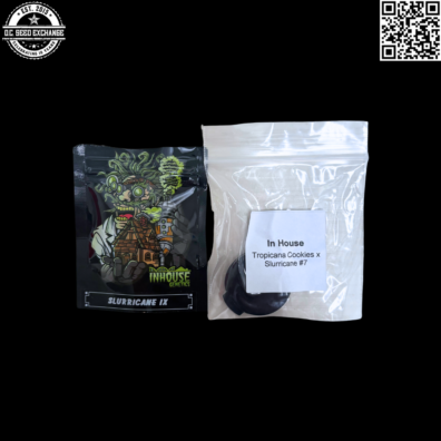 In House Genetics Slurricane IX (Slurricane #44 x Slurricane #7) 10 Feminized Seeds
