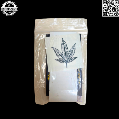 Cannabiezien 2021 Back IG