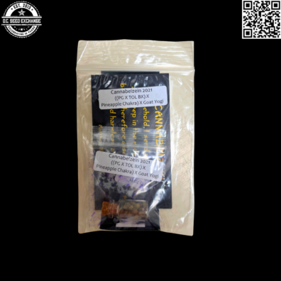 Cannabiezien 2021 Front IG