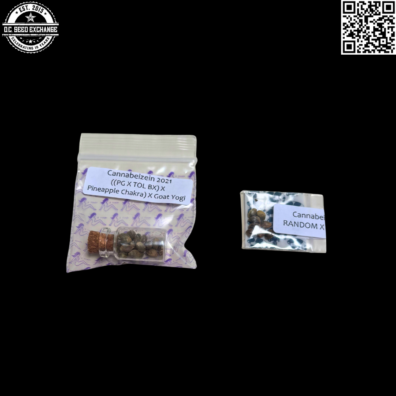 Cannabiezien 2021 Inside IG