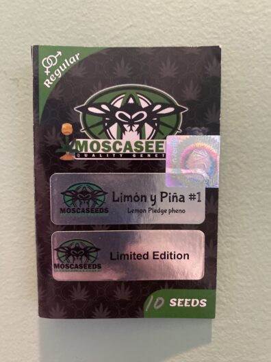 Mosca Seeds Limon y Pina #1 Lemon Pledge Pheno 10 Regular Seeds