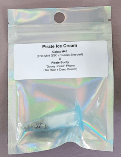 Team Cali Genetics Pirate Ice Cream 10 Regular Seeds