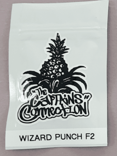 The Captains Connection Wizard Punch F2 10 Regular Seeds