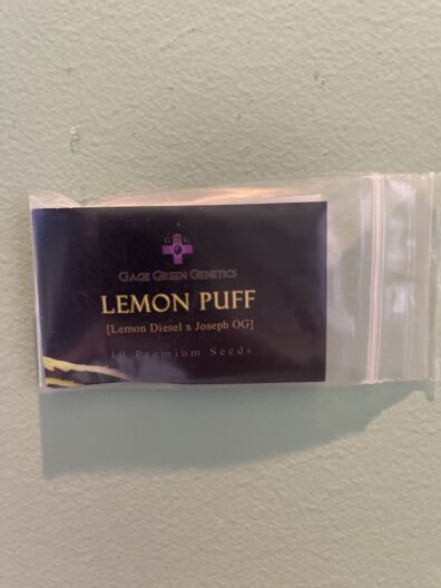 Gage Green Genetics Lemon Puff 10 Regular Seeds