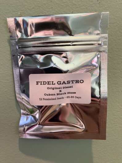Diesel Kartel Fidel Gastro 12 Feminized Seeds