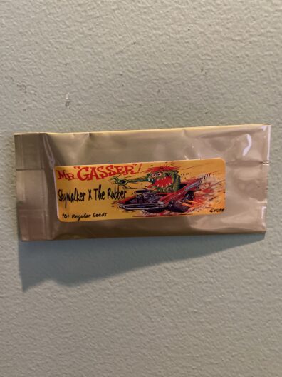 Golden Coast Genetics Mr. Gasser 10 Regular Seeds
