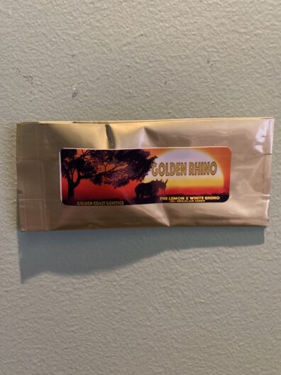 Golden Coast Genetics Golden Rhino 10 Regular Seeds