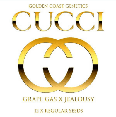 Cucci F1 (Grape Gas Horchata x Jealousy) 12 Regular Seeds