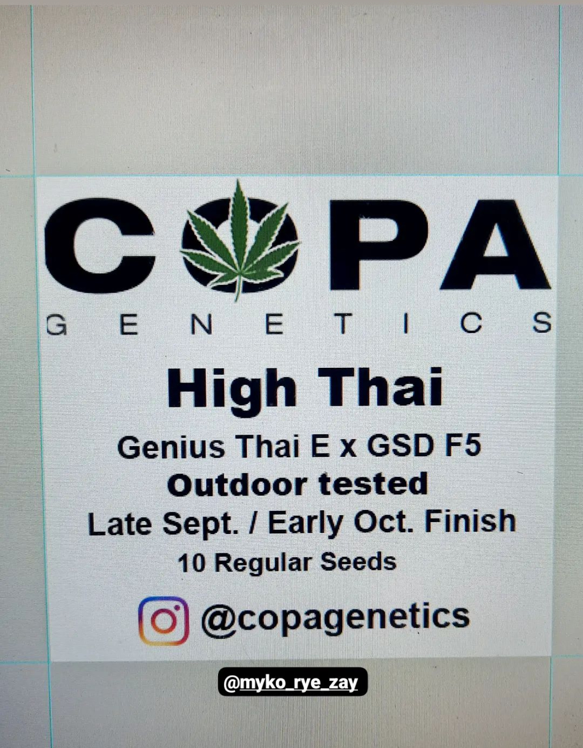 High Thai F1 (Genius Thai E x GSD F5) 10 Regular Seeds