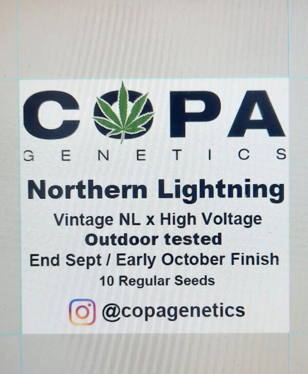 Northern Lightning F1 (Northern Lights x High Voltage) 10 Regular Seeds
