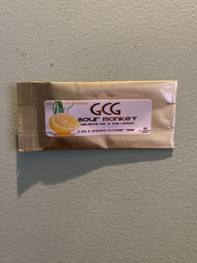 Golden Coast Genetics Sour Monkey 10 Regular Seeds