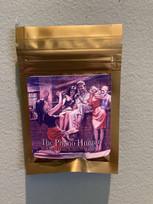 Golden Coast Genetics The Pheno Hunter 10 Regular Seeds